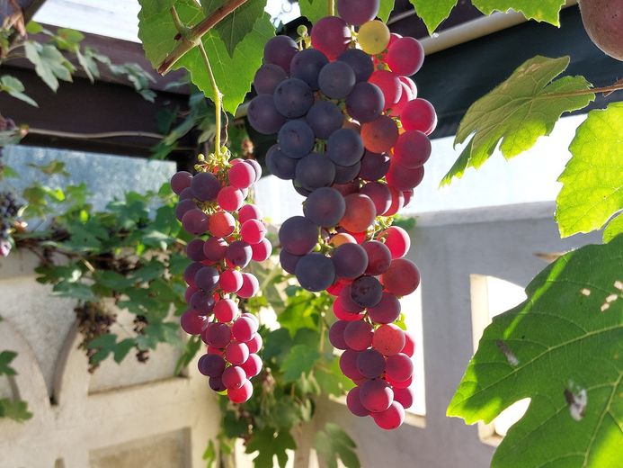 Casa a Höxter-Bödexen – Foto 5