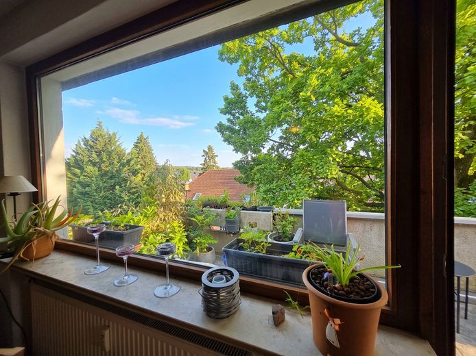 Ausblick Wohnzimmer