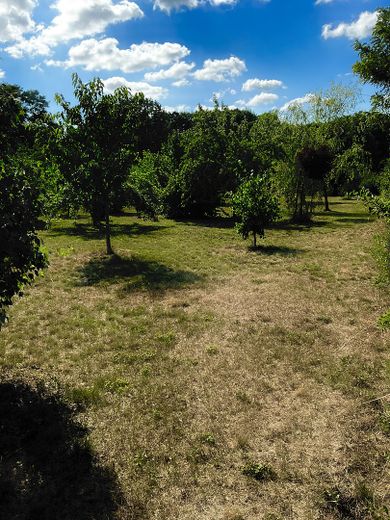 traumhaftes Bauland am Naturschutzgebiet – Foto 1