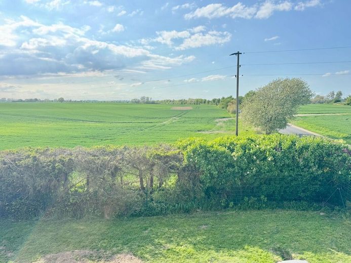 HORN IMMOBILIEN ++ großes Haus, großes Grundstück in Randlage und nur ca. 15 km bis Neubrandenburg – Randlage Aussicht aus dem Fenster