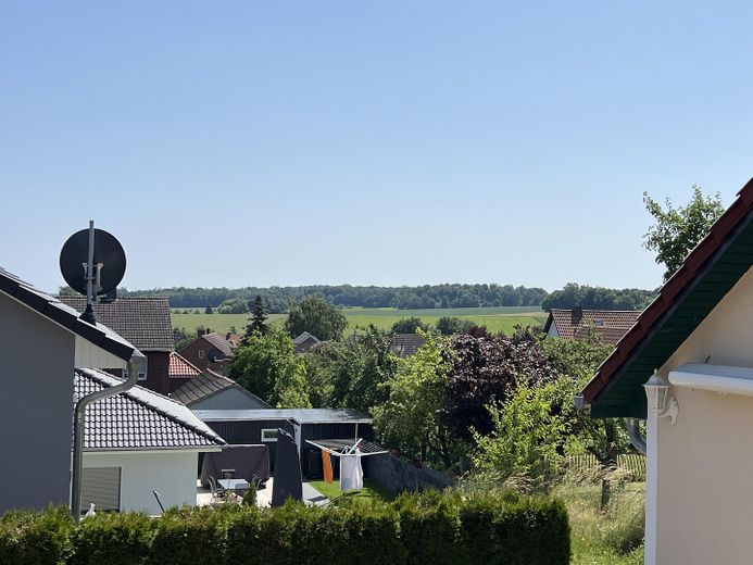 Blick ins Grüne