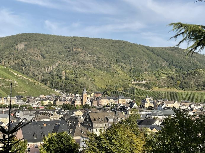 Attraktive Grundstücke in exklusiver Höhenlage: Panoramablick über die Stadt Bernkastel –  Ansicht auf Bernkastel