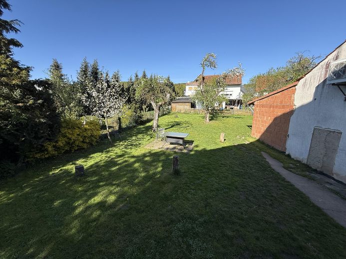 Blick in den Garten