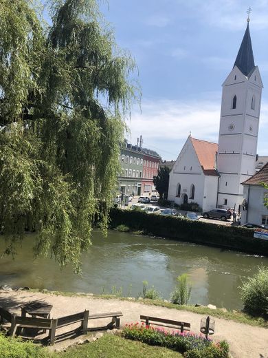 Blick vom Wohnzimmer