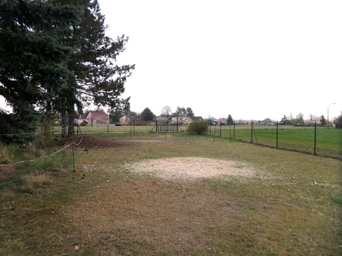 Seltenes Fundstück neu kalkuliert: Haus mit Hof, Werkstatt & 3.085 m² Grundstück – nur 69.999 € – Gartenausschnitt