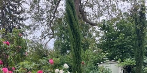 Gartenimpressionen