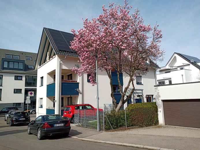 Exklusiv, ökologisch, barrierefrei im EG, ruhig, zentral, nahe Mercedes, für Paare, Rentner, Singles – Garten + Eingang