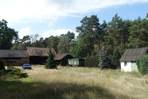 Baugrundstück am Waldrand – wenige Gehminuten zum Briesener See