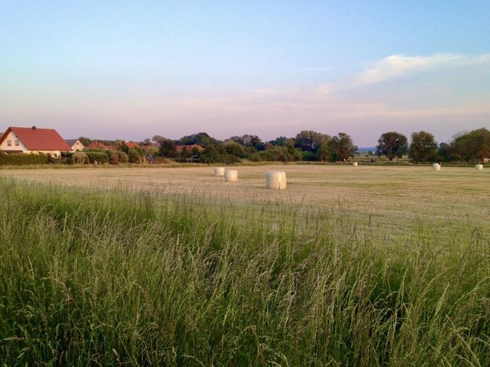 Wiesen 