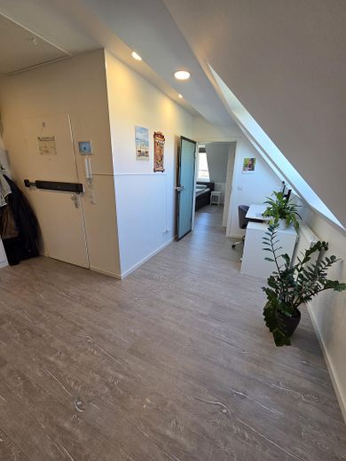 Apartamento ático de alta calidad de 3½ habitaciones, sin comisión y sin intermediario, con posibilidad de ampliación en el desván – Foto 12