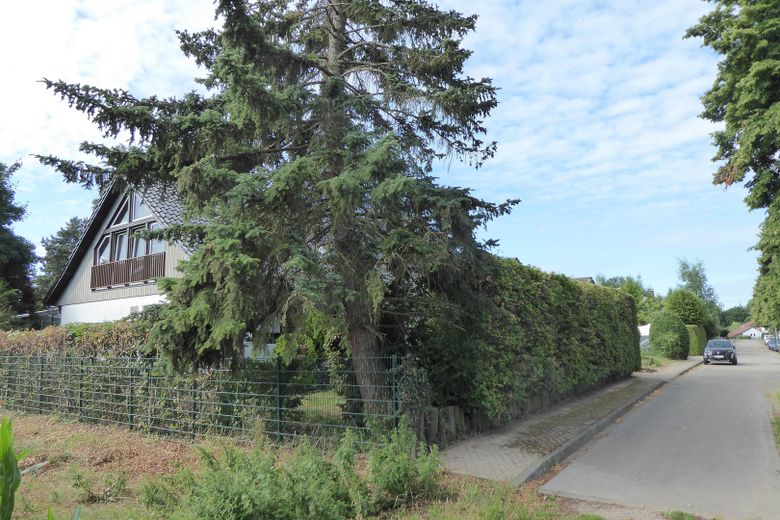 Ansicht vom Feld zur Straße