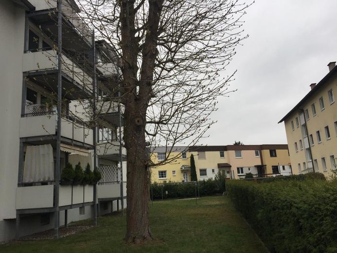 3 Zimmer-Wohnung in Rodgau/Rollwald – Gartenansicht/ Balkon