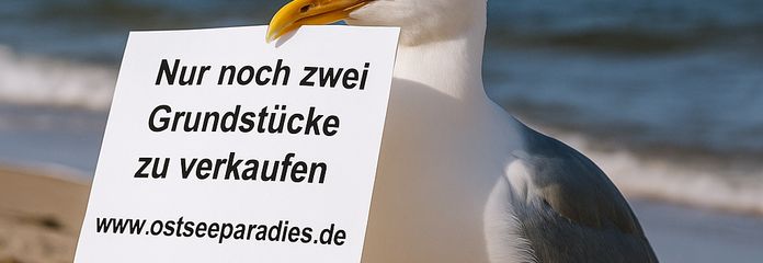 Nur noch zwei Grundstücke 