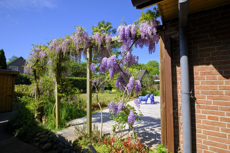 Freistehendes Einfamilienhaus mit Südgarten in ruhiger Lage von Hamburg-Volksdorf – Garten