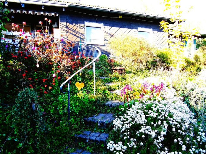 Hausansicht Gartenseite