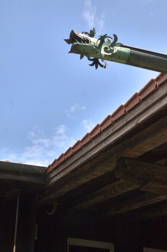 Wasserspeier