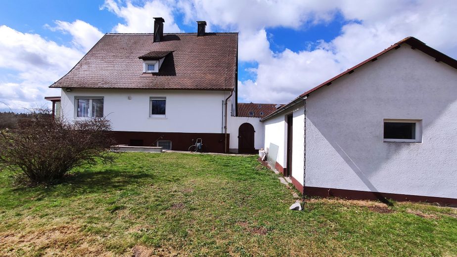 Rückseite mit Schuppen