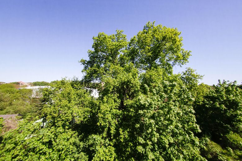Viel Platz, viel Grün, kein Stress: Ihr neues Zuhause am Waldrand – Blick aus Büro