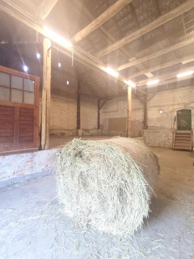 schöne kernsanierte Gründerhausvilla mit 3 WE sofort nutzbar inkl. Pferdestall und Ferienwohnung – Foto 15