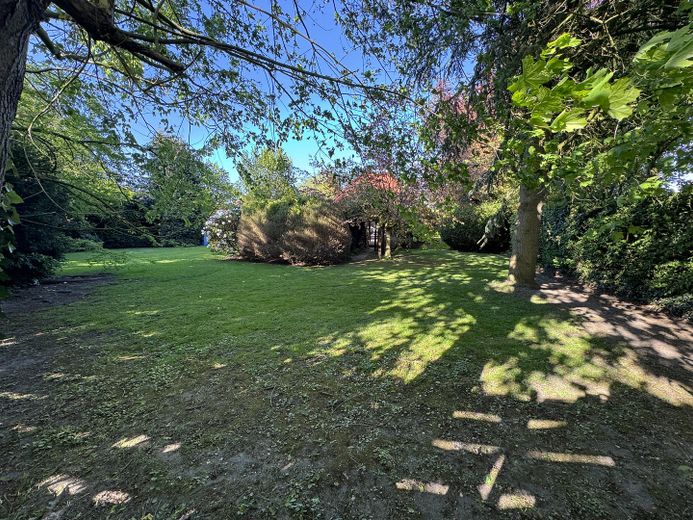Garten 1