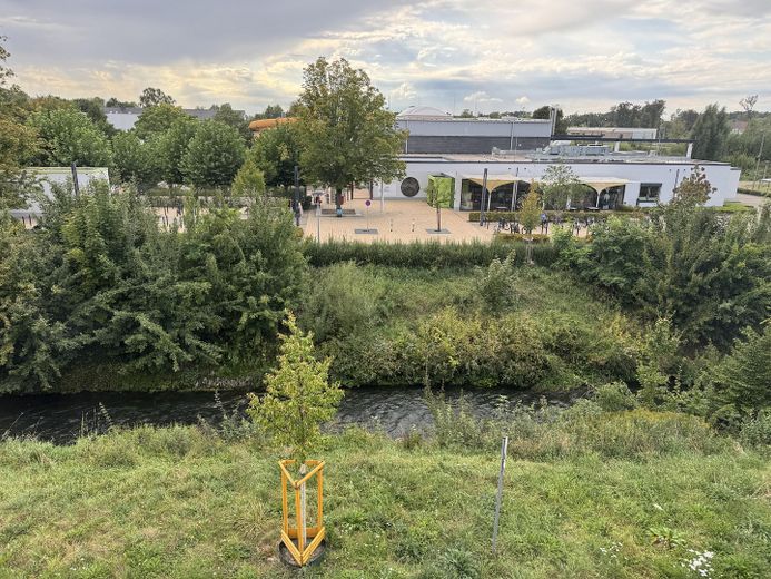 Blick Wohnraum 2
