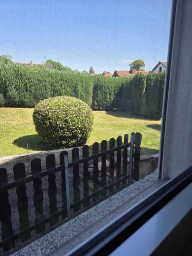 Ausblick Garten aus Küche EG