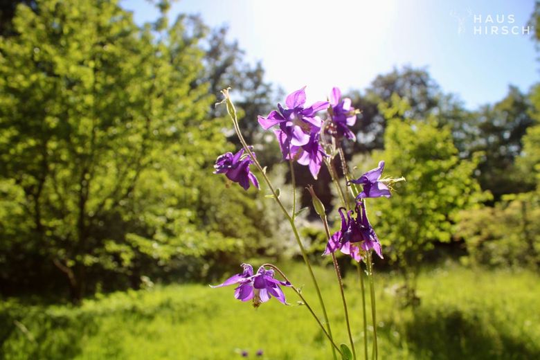 Eine außergewöhnliche Immobilie für außergewöhnliche Menschen – Garten