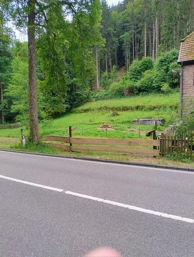 Alleinlage im Pfälzer Wald - hier ist alles ist hier möglich. – Eingezäunte Wiese