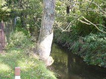 große Gutshaushälfte mit tollem Grundstück am Naturschutzgebiet, sehr ruhig gelegen – Bachlauf am Grundstück