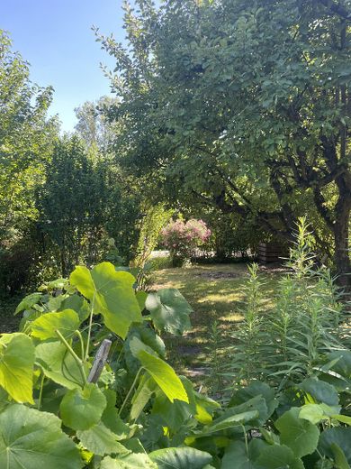 Freizeit Grundstück – Foto 11