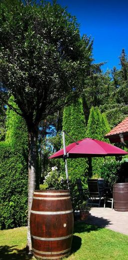 Garten mit Terrasse