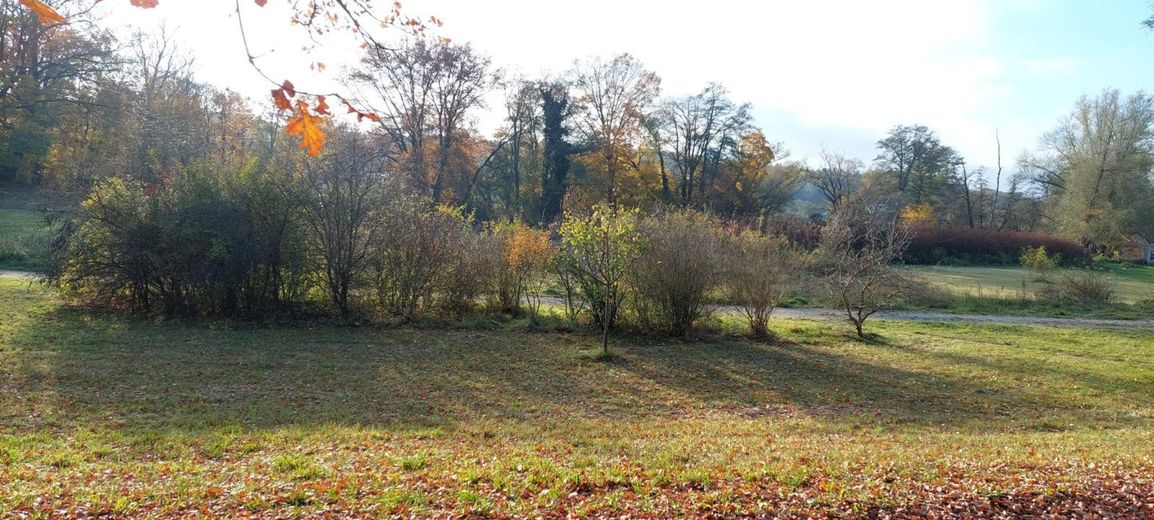 Blick vom Grundstück