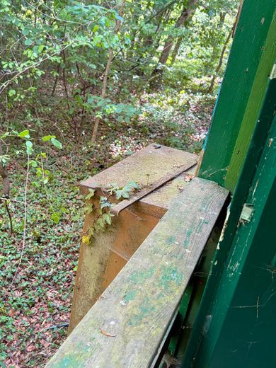 Riservato: storico eremo in un rifugio boschivo privato nella terra di Frau Holle – Blick aus dem Fenster