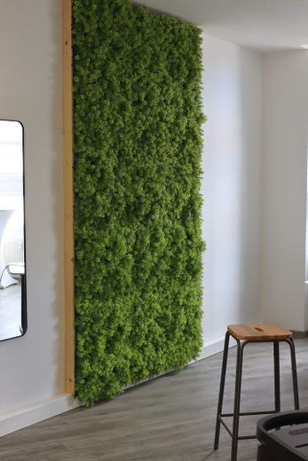 Community/ Büro