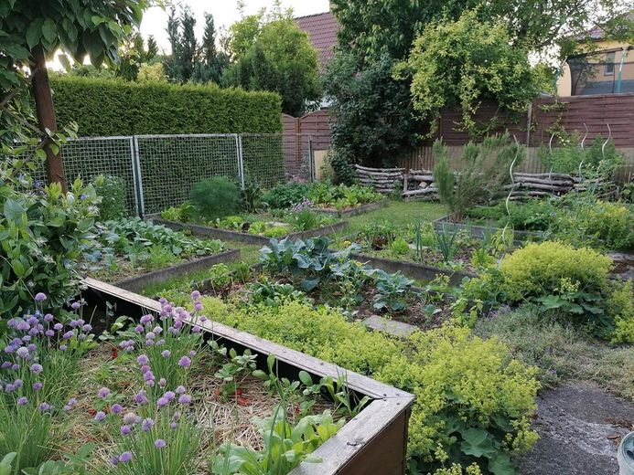 Gemüsegarten