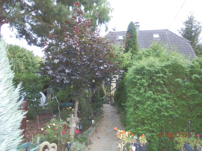 Einfamilienhaus mit Pool & Saunahaus und viel Privatsphäre – Garten mit Zugang zum WH