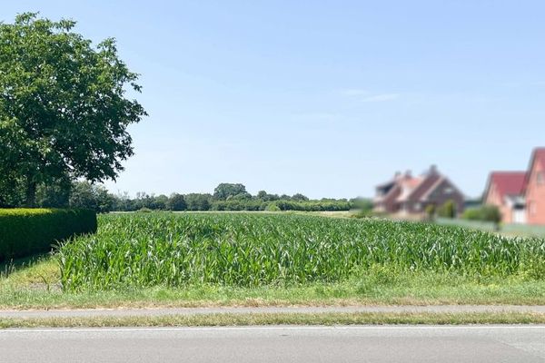 Grundstücke am Ortsrand von Lingen -Ortsteil Clusorth-Bramhar