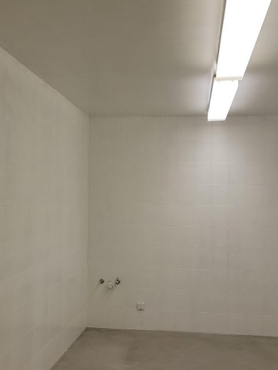 Einliegerwohnung Küche