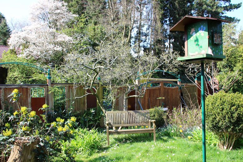 Garten vorne -1