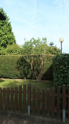 Platz für neue Geschichten - Charmantes Reiheneckhaus mit sonnigem Garten – Garten