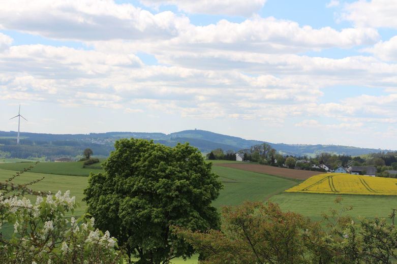 Idyllisch Wohnen - freier Blick ins Grüne und viel Raum für Gestaltung und Freizeit – Ausblick nach Südwest