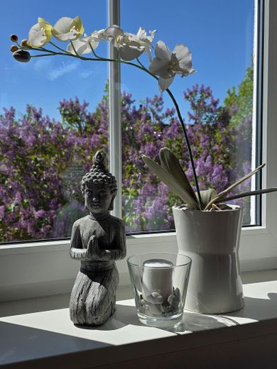 Sonnige Wohnung Kühlungsborn – Schlafzimmer