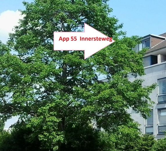 apartm55