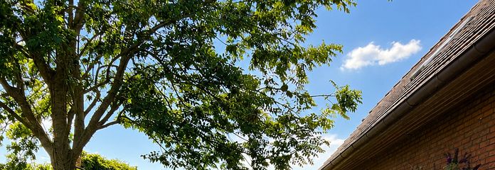 Großzügiges Einfamilienhaus- modernisiert & vielseitig nutzbar – Garten