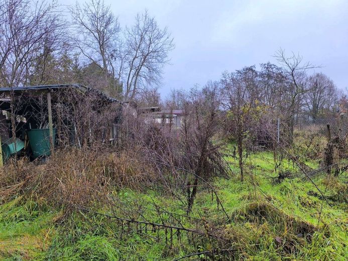 Sernow - Handwerkerobjekt auf schönem Grundstück – Garten Bild 1