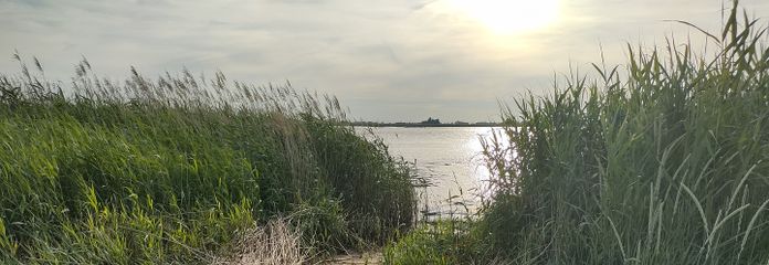 Weserstrand