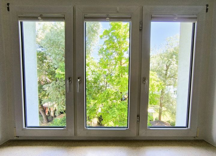 Aussicht ins Grüne