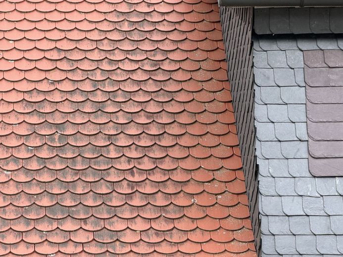 Familientraum mit Paradiesgarten - Schnuckeliges Haus - 5 Zimmer, Terrasse, Doppelgarage, Bestlage! – Saniertes Dach in hervorragendem Zustand
