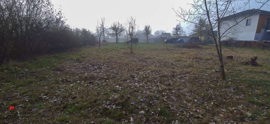 Eckgrundstück in Schönefeld (bauträgerfrei) – Grundstück