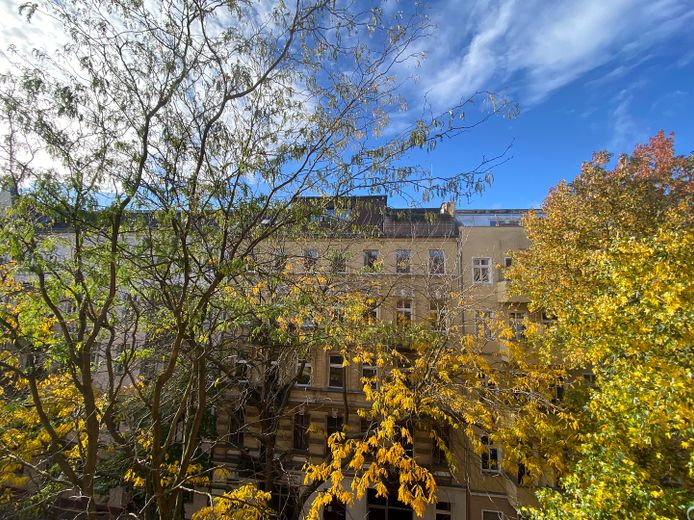 Westhafen Stuckaltbau, sonnig, grün, ruhig, Balkon, hohe Räume – Blick Balkon/Baumenkronzimmer 